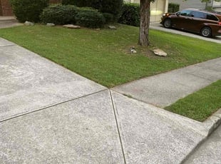 Judith C.'s lawn care service result