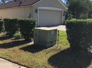 Leslie S.'s Bush Trimming service result