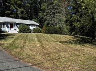 Iris M.'s Long Grass Cleanup service result