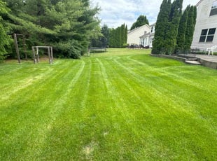 Julia M.'s lawn service service result