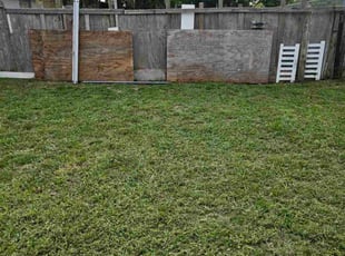 Ade C.'s grass maintenance service result