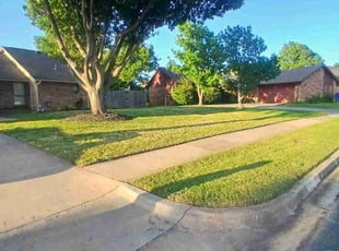 Nayoun L.'s turf maintenance service result