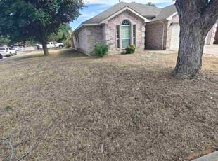 Onika M.'s lawn care service result