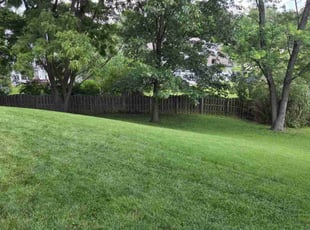 Genalyn D.'s lawn care services service result