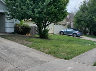 Julio J.'s Bush Trimming service result