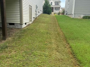 Katherine Q.'s turf care service result
