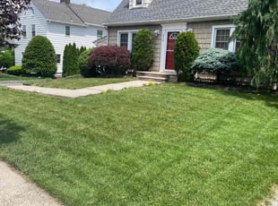 Tanya R.'s lawn care service result