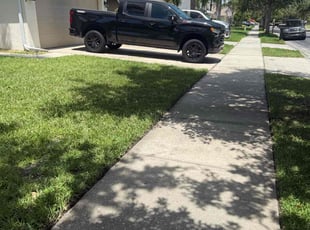 Michele M.'s grass maintenance service result