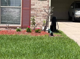 Matt P.'s grass cutting service result