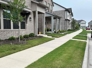 Mike M.'s turf care service result