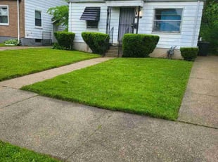 Sydney R.'s lawn service service result