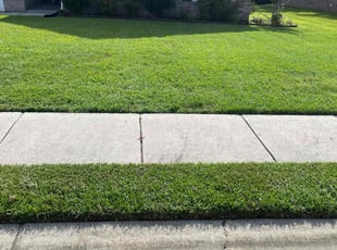 Donna A.'s grass cutting service result