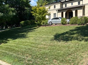 Jeremy O.'s lawn maintenance service result
