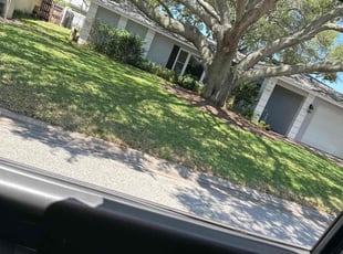 Andy R.'s grass maintenance service result