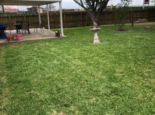 Helen L.'s lawn service service result