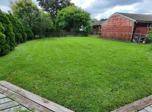 Kristi B.'s lawn care services service result