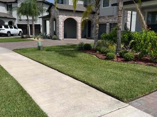 Mike M.'s lawn service service result