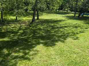 Brandon P.'s lawn maintenance service result