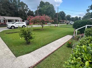 Torris F.'s turf care service result