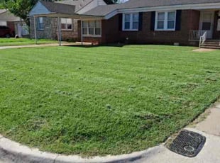 Thomas W.'s lawn maintenance service result