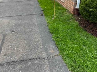Kathy L.'s grass maintenance service result