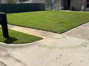 Tralicea C.'s lawn care services service result