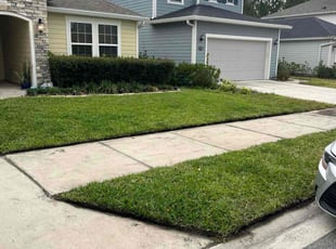 Randy V.'s grass cutting service result