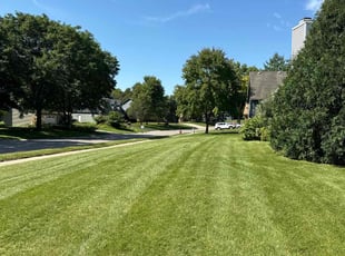 William C.'s grass cutting service result
