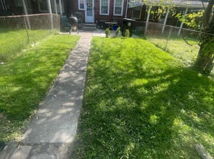 Iris C.'s turf maintenance service result