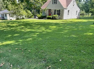 Craig D.'s lawn care service result