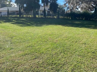 Murugan R.'s grass maintenance service result