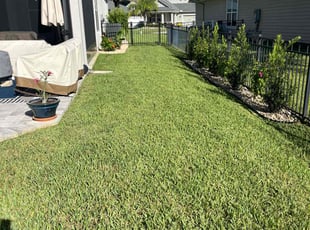 Nancy S.'s lawn service service result