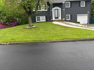Aslin H.'s turf maintenance service result