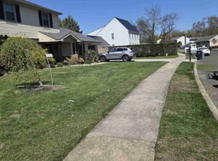 Sean N.'s lawn service service result