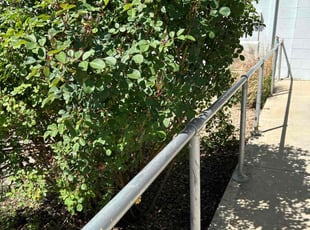 Ralph K.'s Flower Bed Weeding service result