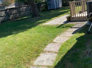 Catie O.'s grass cutting service result
