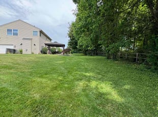 Irene S.'s turf care service result
