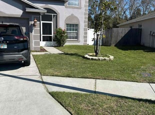 Rita K.'s grass maintenance service result