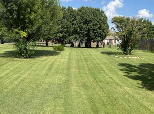 Tin M.'s turf care service result
