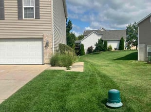 Phillip H.'s lawn care service result