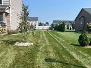 Joseph F.'s turf care service result