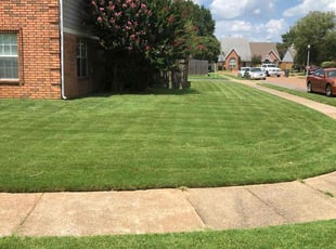 Heather R.'s lawn maintenance service result