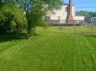 Matthew P.'s turf maintenance service result