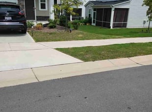 Alberto S.'s lawn maintenance service result