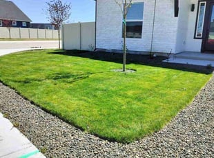 Laurie R.'s turf care service result