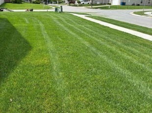 Linda R.'s lawn care service result
