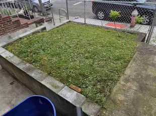 Jolie D.'s lawn service service result