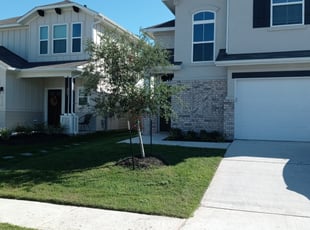 Robyn R.'s grass cutting service result