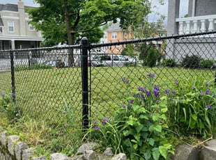Crystal C.'s turf care service result