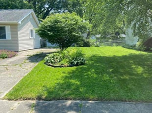 Terry J.'s turf maintenance service result